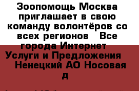 Зоопомощь.Москва приглашает в свою команду волонтёров со всех регионов - Все города Интернет » Услуги и Предложения   . Ненецкий АО,Носовая д.
